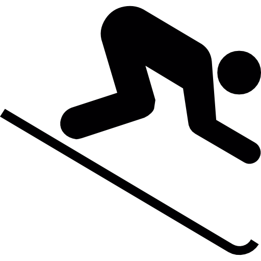 icon ski