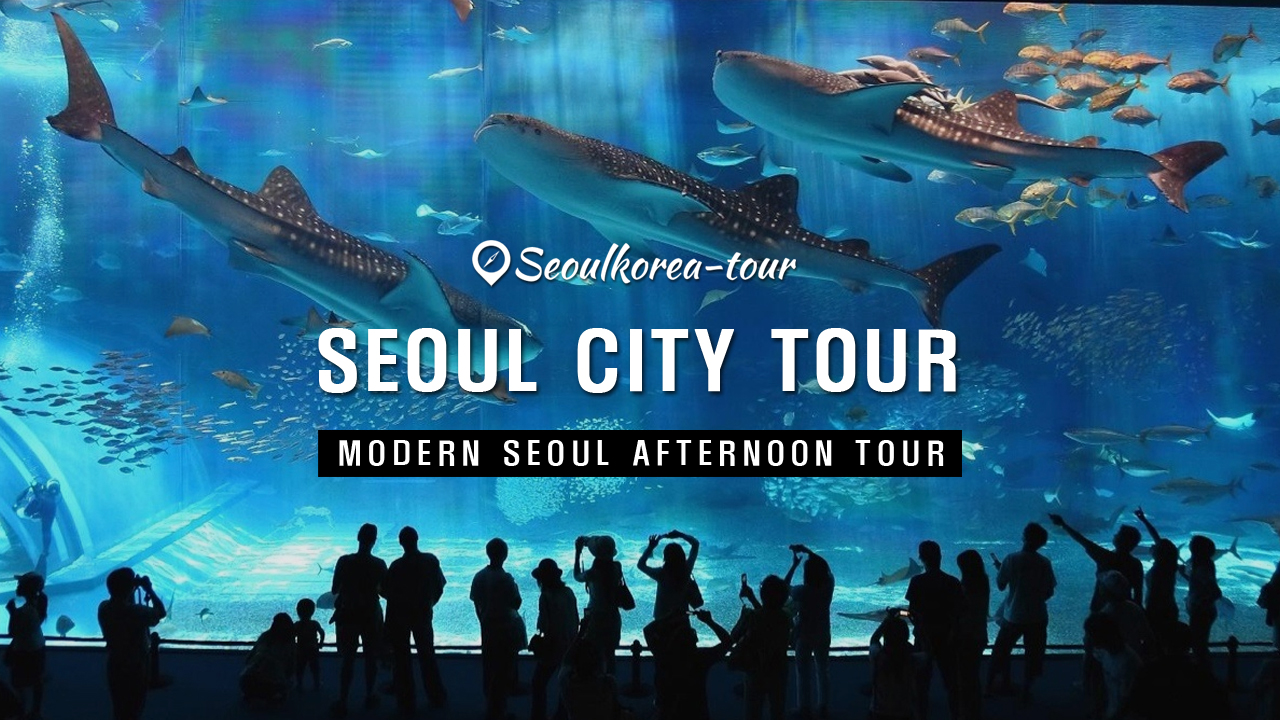 Modern Seoul Afternoon Tour